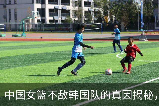 中国女篮不敌韩国队的真因揭秘，宫鲁鸣深度剖析