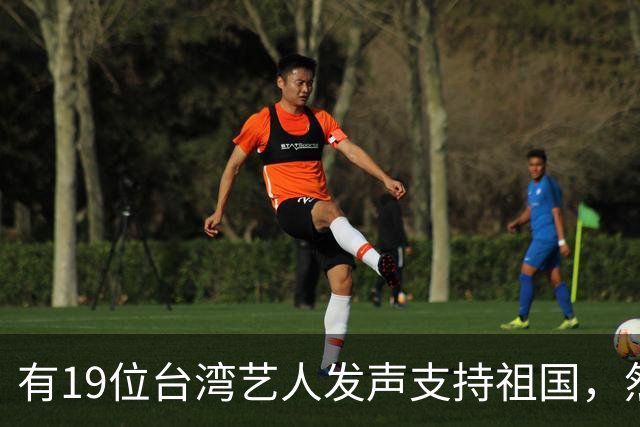 有19位台湾艺人发声支持祖国，然而林心如、王心凌和蔡依林却未作回应